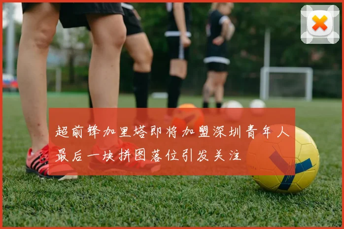 超前锋加里塔即将加盟深圳青年人最后一块拼图落位引发关注