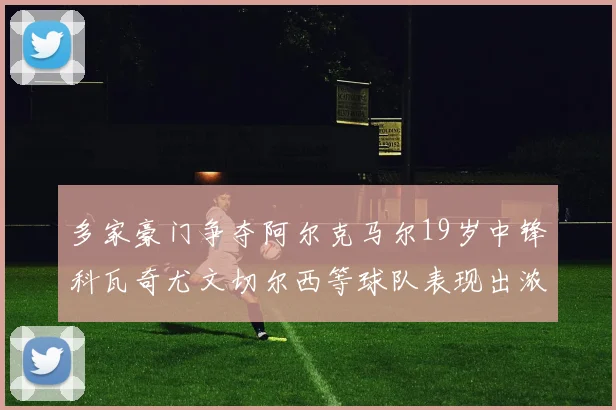 多家豪门争夺阿尔克马尔19岁中锋科瓦奇尤文切尔西等球队表现出浓厚兴趣